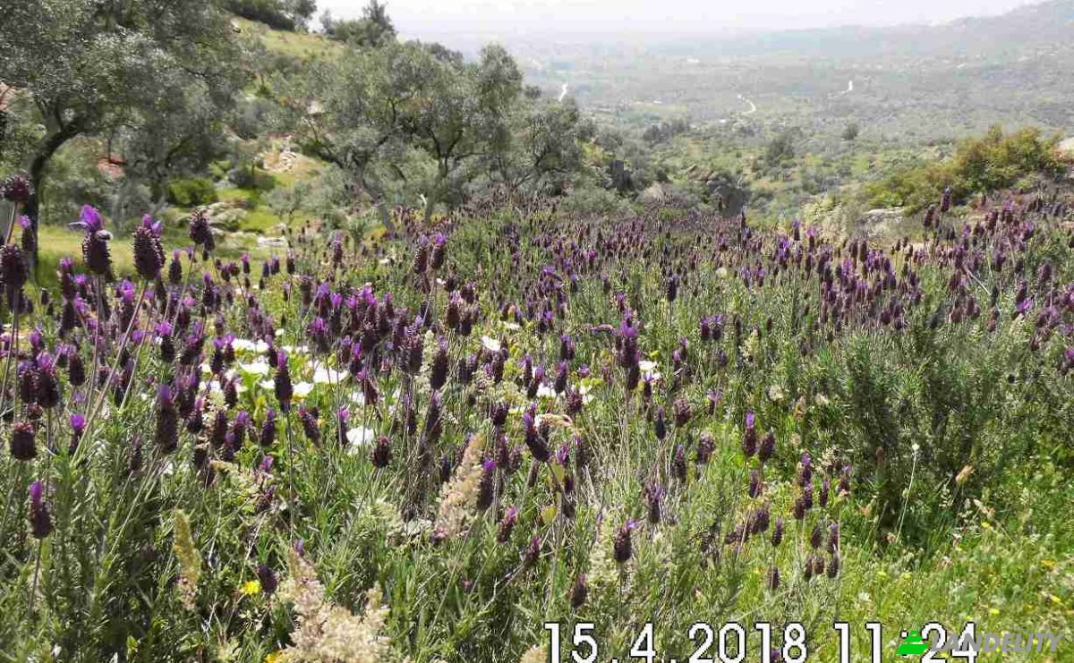 Land Lot for Sale Hisarardi, Isimsiz Yol, 48540 Yatagan Mugla, Yatagan Mugla, Yatagan, Mugla, Turkiye. Photo 7