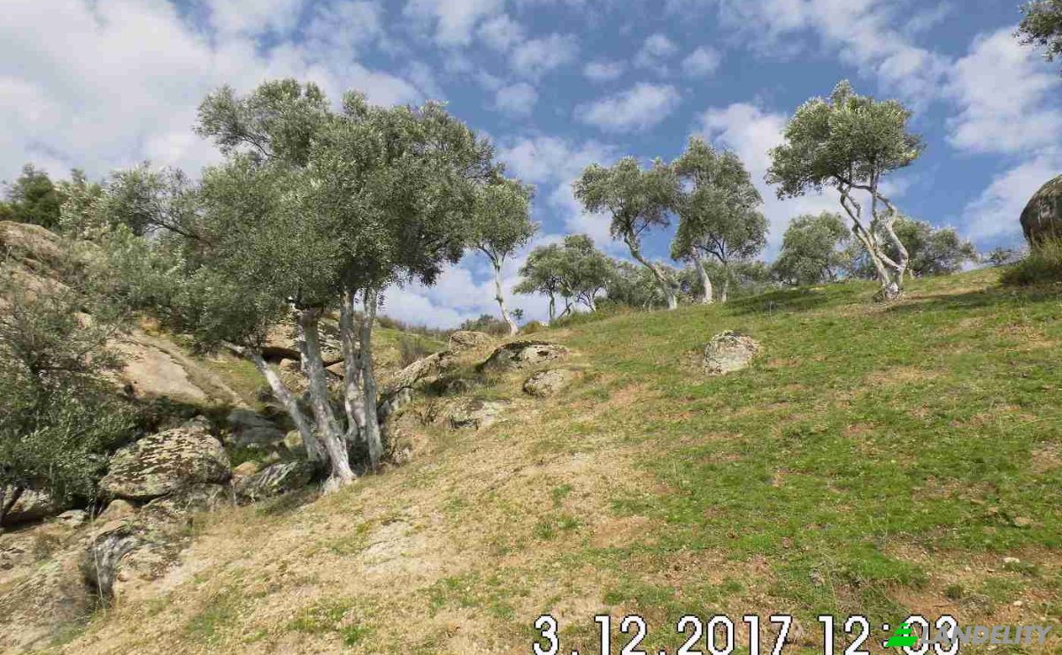 Land Lot for Sale Hisarardi, Isimsiz Yol, 48540 Yatagan Mugla, Yatagan Mugla, Yatagan, Mugla, Turkiye. Photo 10