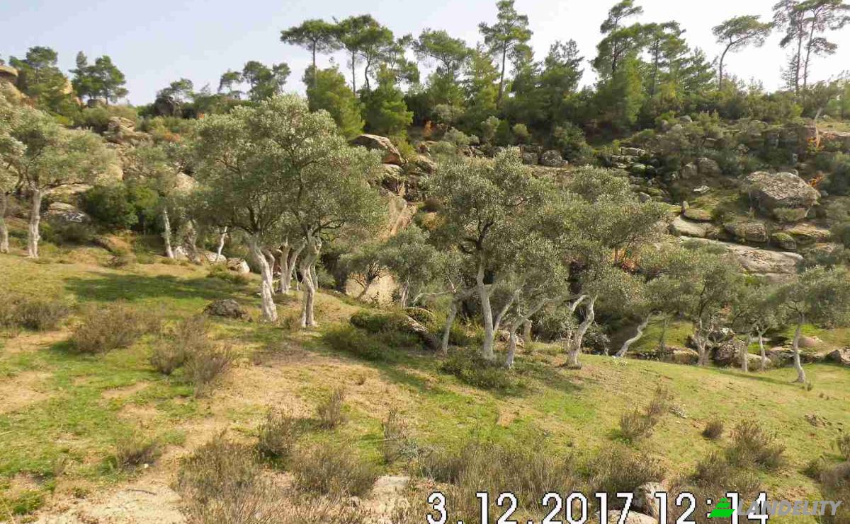 Land Lot for Sale Hisarardi, Isimsiz Yol, 48540 Yatagan Mugla, Yatagan Mugla, Yatagan, Mugla, Turkiye. Photo 11