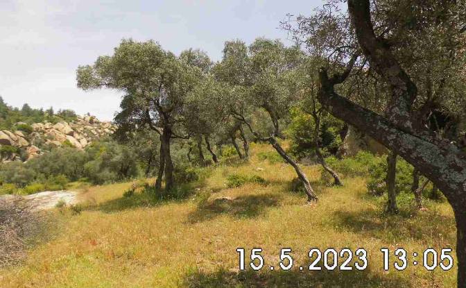 Land Lot for Sale Hisarardi, Isimsiz Yol. Photo#12