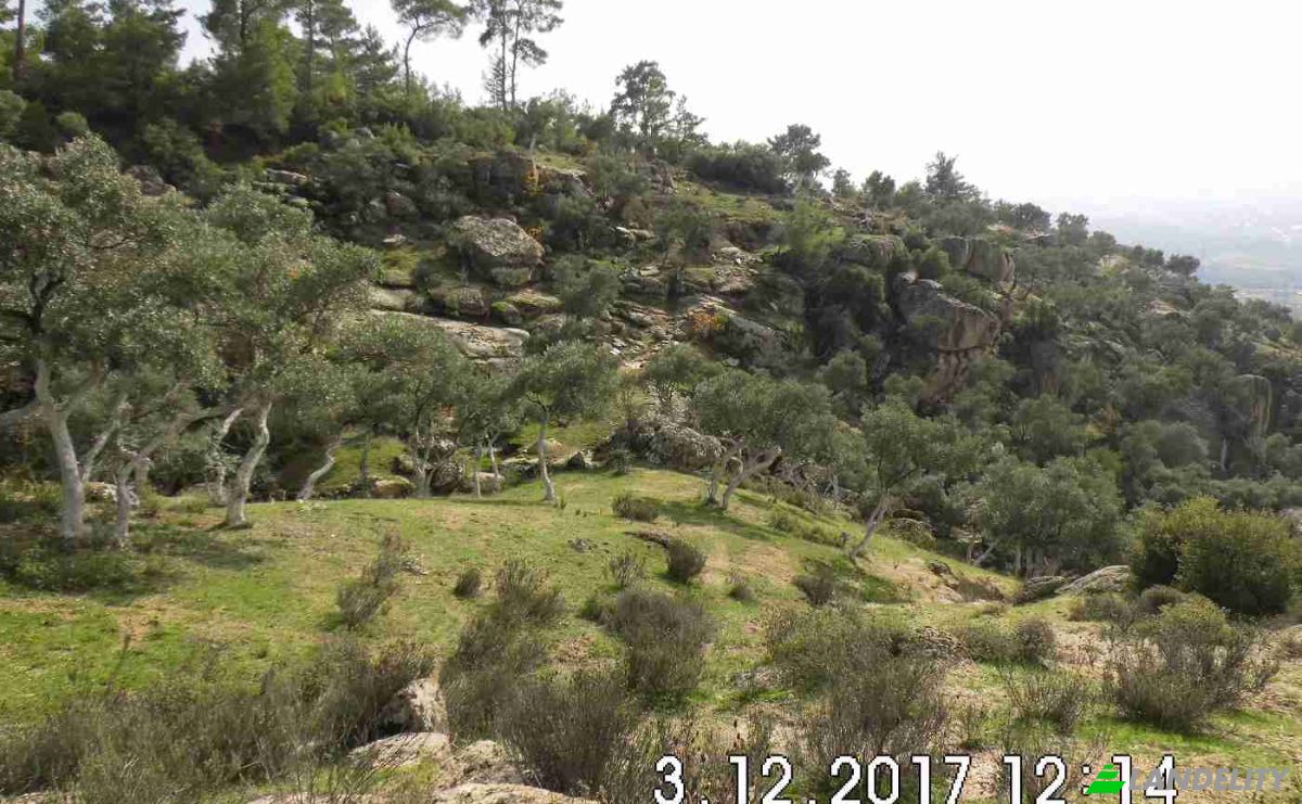 Land Lot for Sale Hisarardi, Isimsiz Yol, 48540 Yatagan Mugla, Yatagan Mugla, Yatagan, Mugla, Turkiye. Photo 13