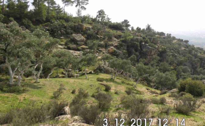 Land Lot for Sale Hisarardi, Isimsiz Yol. Photo#13