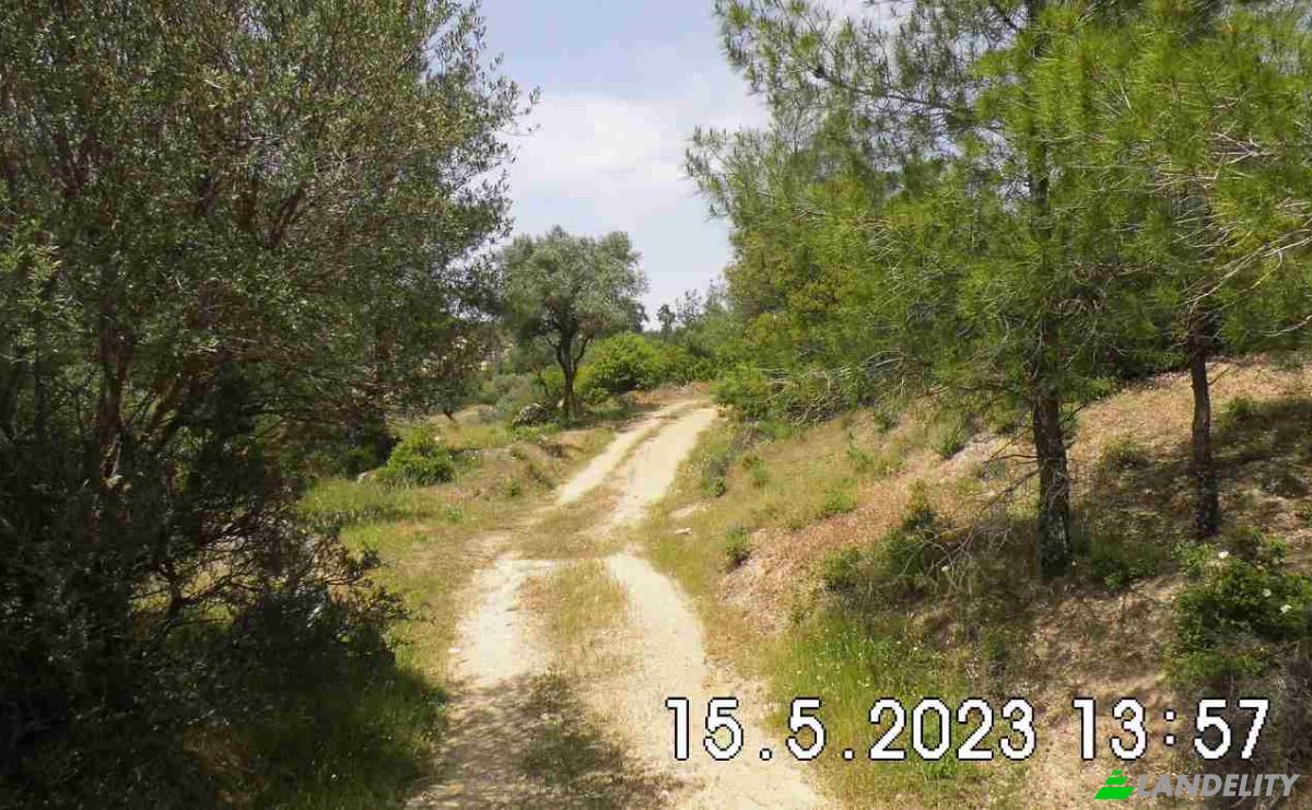 Land Lot for Sale Hisarardi, Isimsiz Yol, 48540 Yatagan Mugla, Yatagan Mugla, Yatagan, Mugla, Turkiye. Photo 14