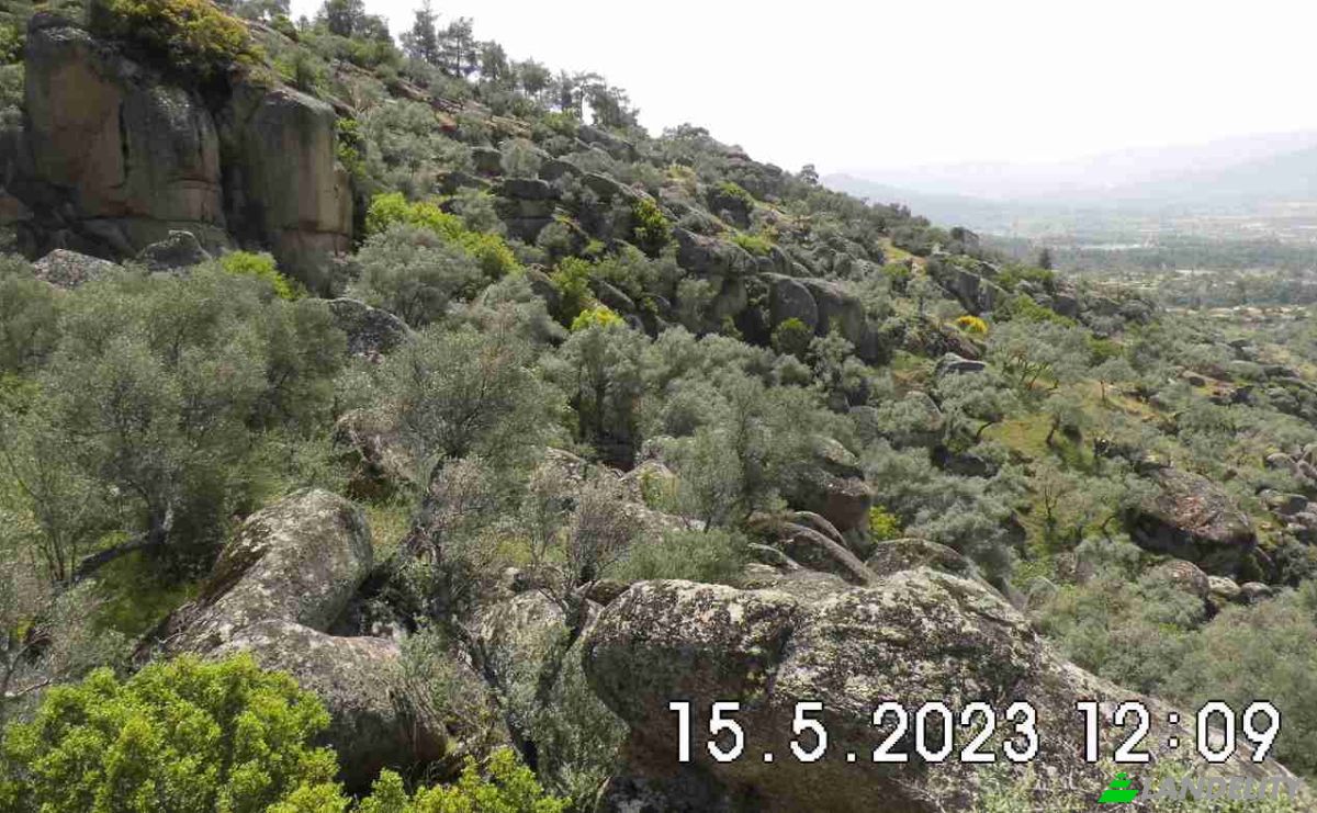 Land Lot for Sale Hisarardi, Isimsiz Yol, 48540 Yatagan Mugla, Yatagan Mugla, Yatagan, Mugla, Turkiye. Photo 3