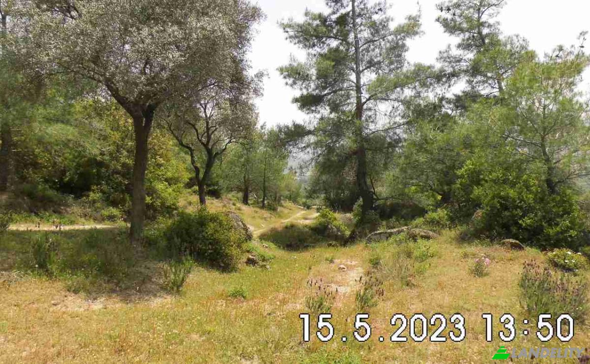 Land Lot for Sale Hisarardi, Isimsiz Yol, 48540 Yatagan Mugla, Yatagan Mugla, Yatagan, Mugla, Turkiye. Photo 1