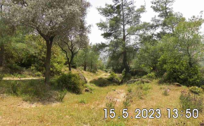 Land Lot for Sale - Yatagan Mugla, Turkiye
