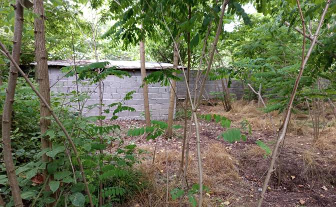 Land Lot for Sale Mashak-e Sepahdari, Rasht. Photo#1 Land Lot for Sale Mashak-e Sepahdari, Rasht. Photo#1