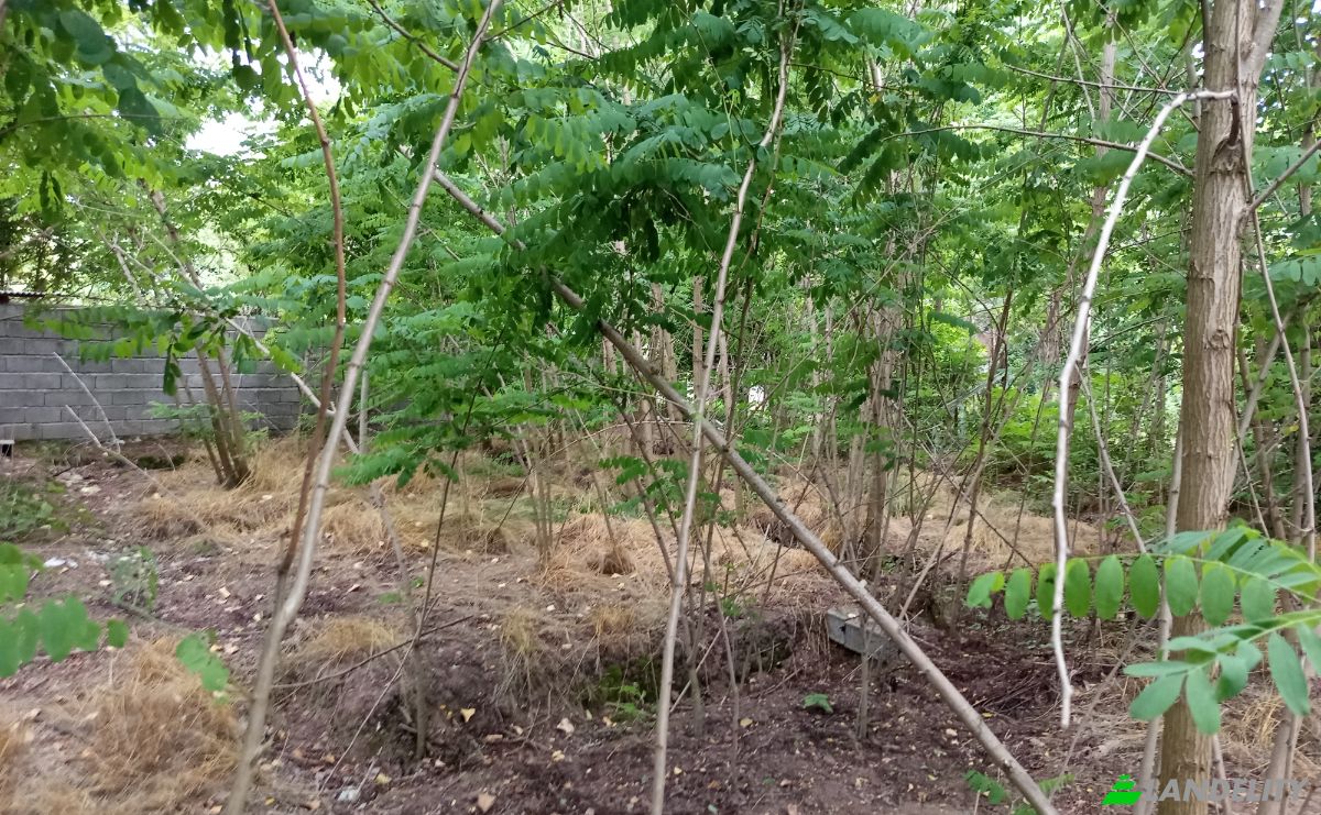Land Lot for Sale Mashak-e Sepahdari, Rasht, Gilan Province, Iran. Photo 2