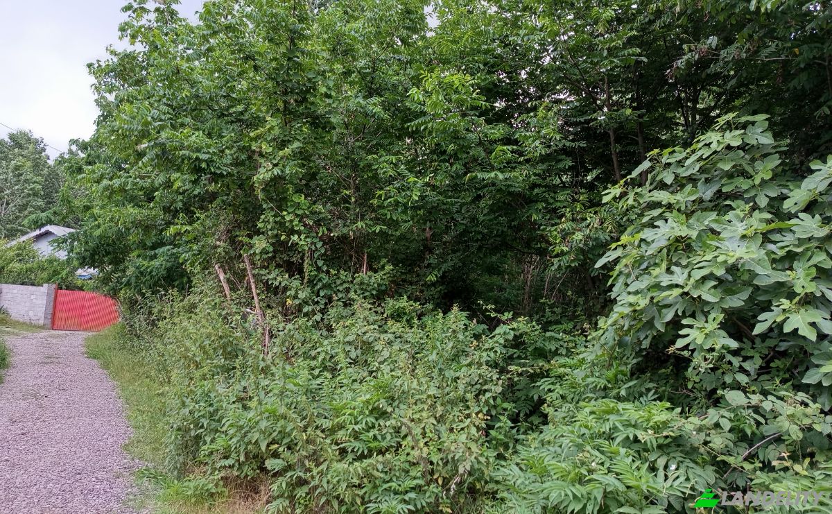 Land Lot for Sale Mashak-e Sepahdari, Rasht, Gilan Province, Iran. Photo 3
