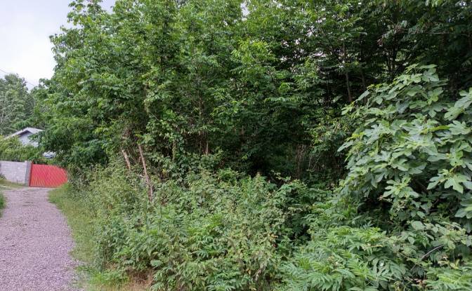 Land Lot for Sale Mashak-e Sepahdari, Rasht. Photo#3 Land Lot for Sale Mashak-e Sepahdari, Rasht. Photo#3