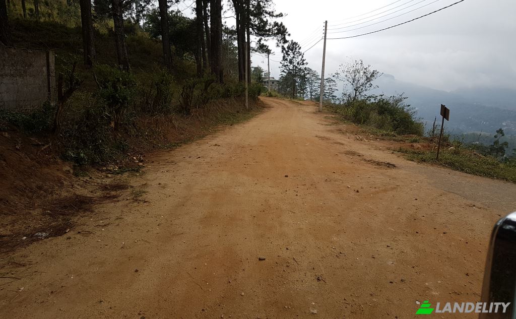 Land Lot for Sale Galaha, Kandy, Central Province, Sri Lanka. Photo 3