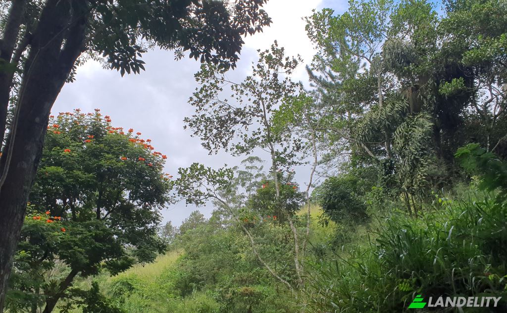 Land Lot for Sale Galaha, Kandy, Central Province, Sri Lanka. Photo 4