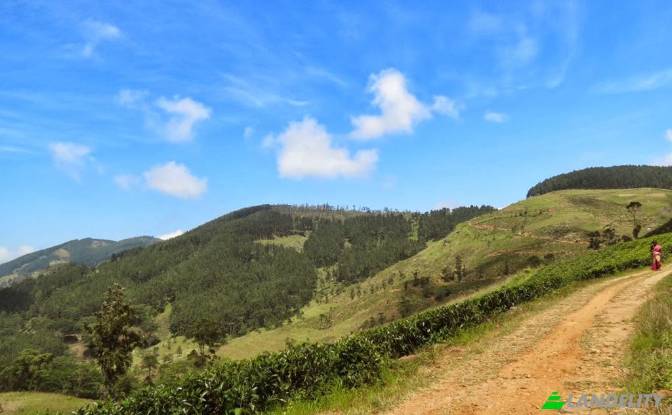 Land Lot for Sale Galaha, Kandy, Central Province. Photo#2 Land Lot for Sale Galaha, Kandy, Central Province. Photo#2