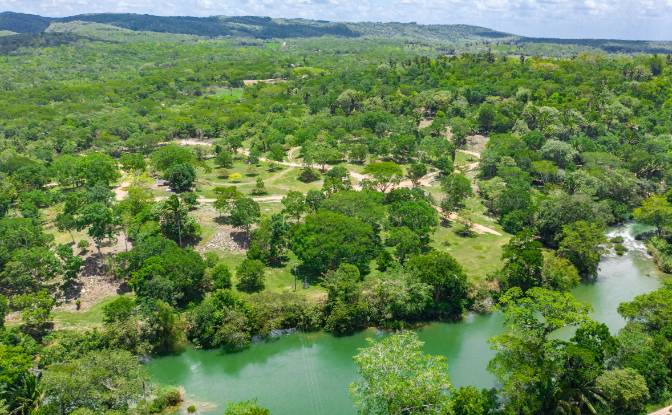 Land Lot for Sale Bullet Tree Falls, Cayo District. Photo#3 Land Lot for Sale Bullet Tree Falls, Cayo District. Photo#3