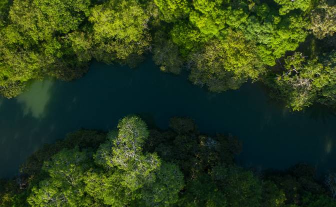 Land Lot for Sale Bullet Tree Falls, Cayo District. Photo#11 Land Lot for Sale Bullet Tree Falls, Cayo District. Photo#11