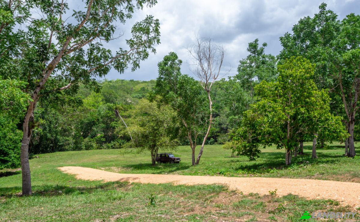 Land Lot for Sale Bullet Tree Falls, Cayo District, Belize. Photo 14