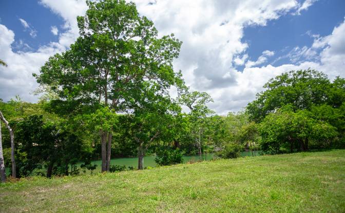 Land Lot for Sale Bullet Tree Falls, Cayo District. Photo#15 Land Lot for Sale Bullet Tree Falls, Cayo District. Photo#15
