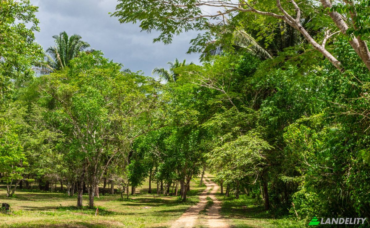 Land Lot for Sale Bullet Tree Falls, Cayo District, Belize. Photo 16