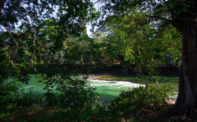 Land Lot for Sale Bullet Tree Falls, Cayo District. Photo#13 Land Lot for Sale Bullet Tree Falls, Cayo District. Photo#13