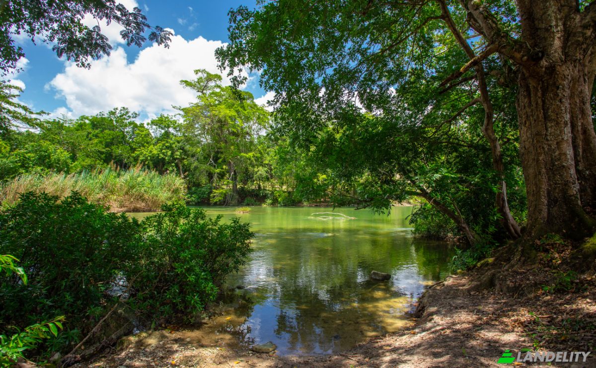 Land Lot for Sale Bullet Tree Falls, Cayo District, Belize. Photo 17