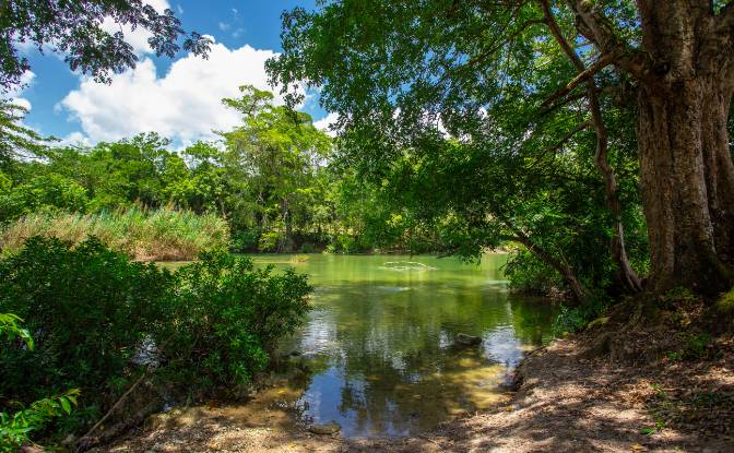 Land Lot for Sale Bullet Tree Falls, Cayo District. Photo#17 Land Lot for Sale Bullet Tree Falls, Cayo District. Photo#17