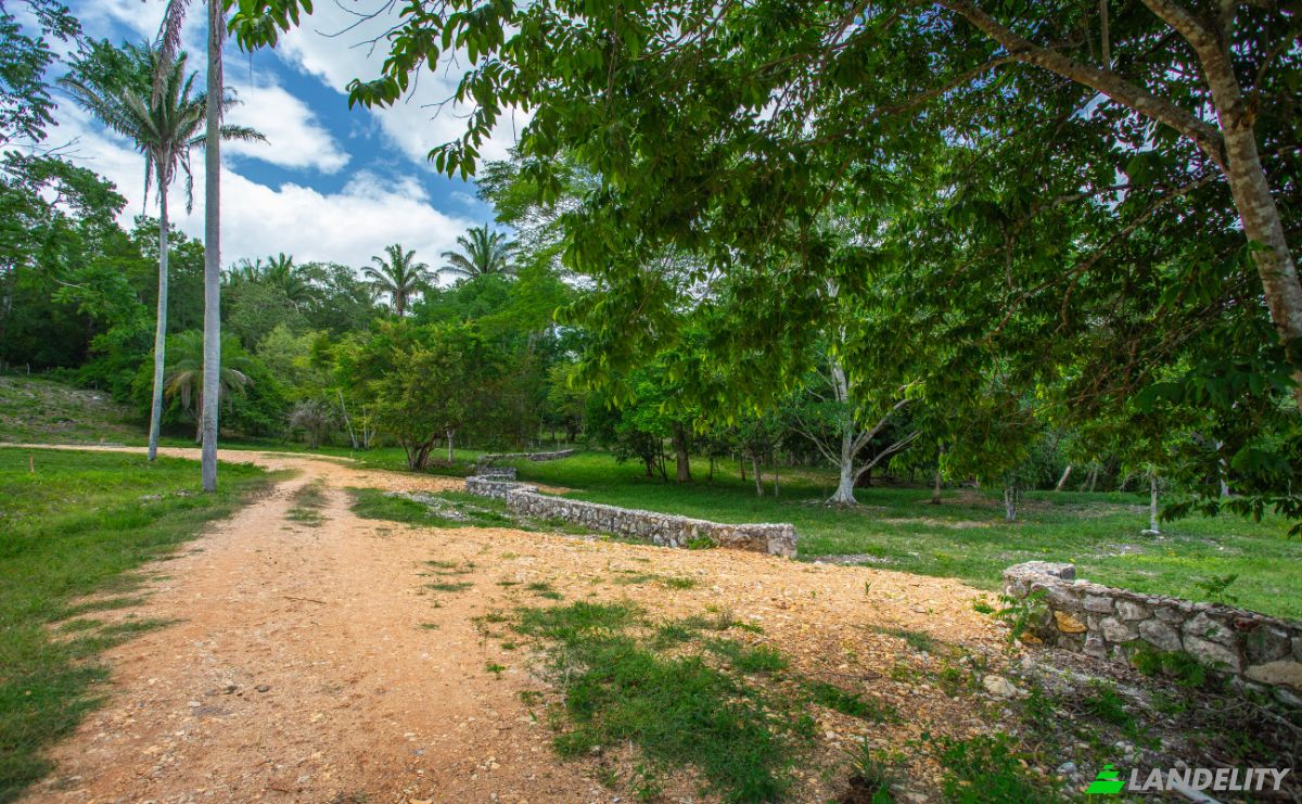 Land Lot for Sale Bullet Tree Falls, Cayo District, Belize. Photo 18