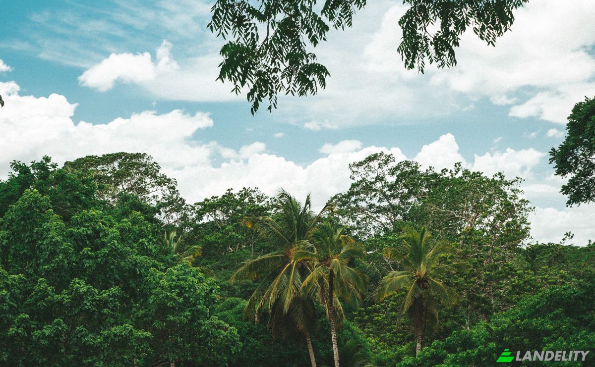 Land Lot for Sale Bullet Tree Falls, Cayo District, Belize. Photo 8