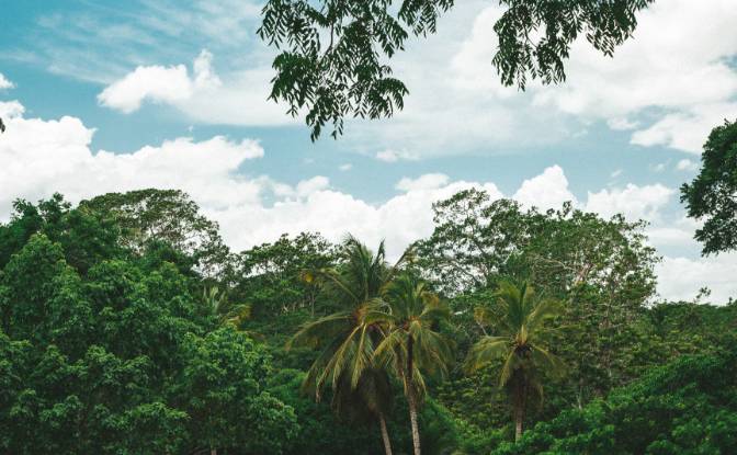 Land Lot for Sale Bullet Tree Falls, Cayo District. Photo#8 Land Lot for Sale Bullet Tree Falls, Cayo District. Photo#8