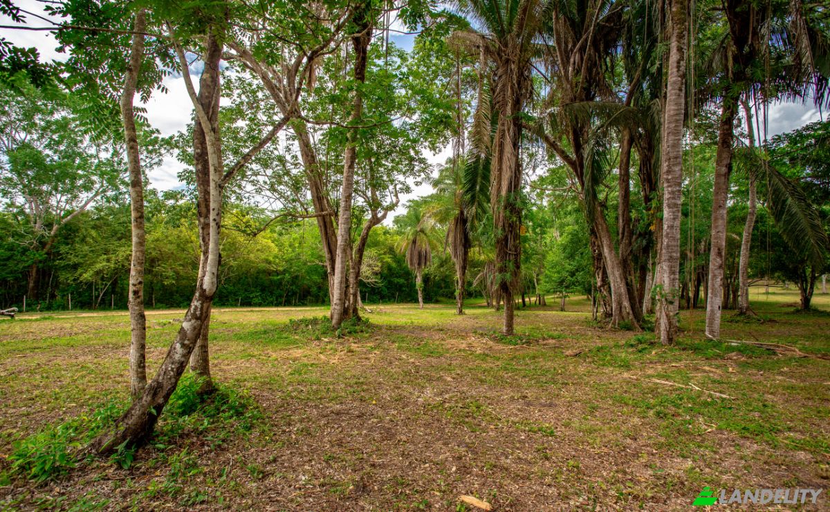 Land Lot for Sale Bullet Tree Falls, Cayo District, Belize. Photo 19