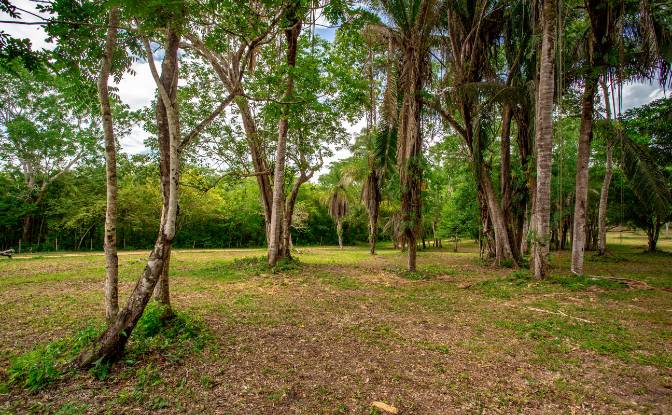 Land Lot for Sale Bullet Tree Falls, Cayo District. Photo#19 Land Lot for Sale Bullet Tree Falls, Cayo District. Photo#19