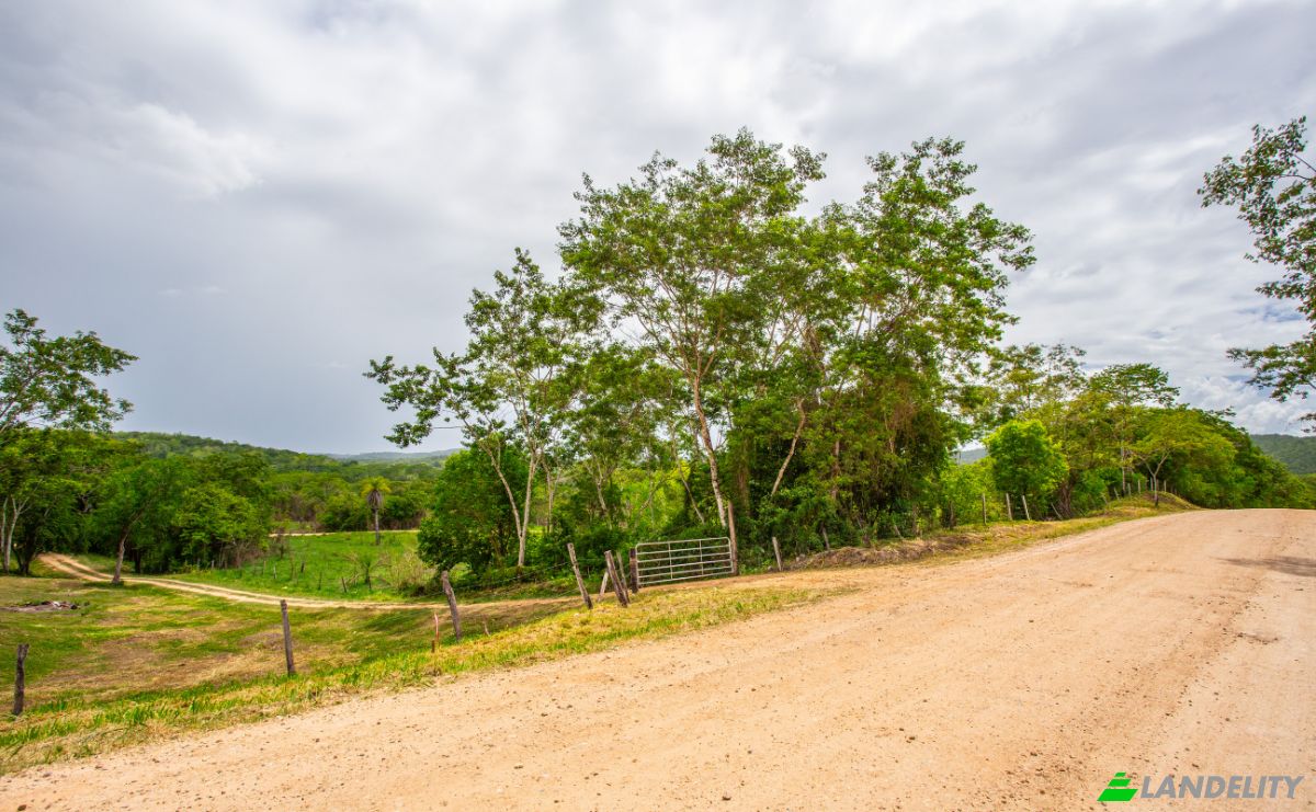 Land Lot for Sale Bullet Tree Falls, Cayo District, Belize. Photo 20