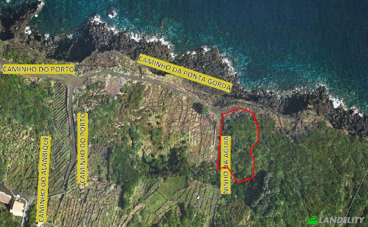 Land Lot for Sale Ribeirinha, Lajes do Pico, Azores, Portugal, Rua Do Passal. Photo 7
