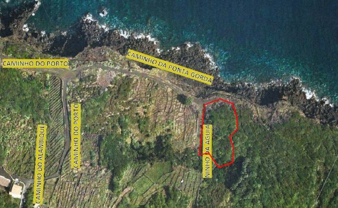 Land Lot for Sale Ribeirinha, Lajes do Pico. Photo#7
