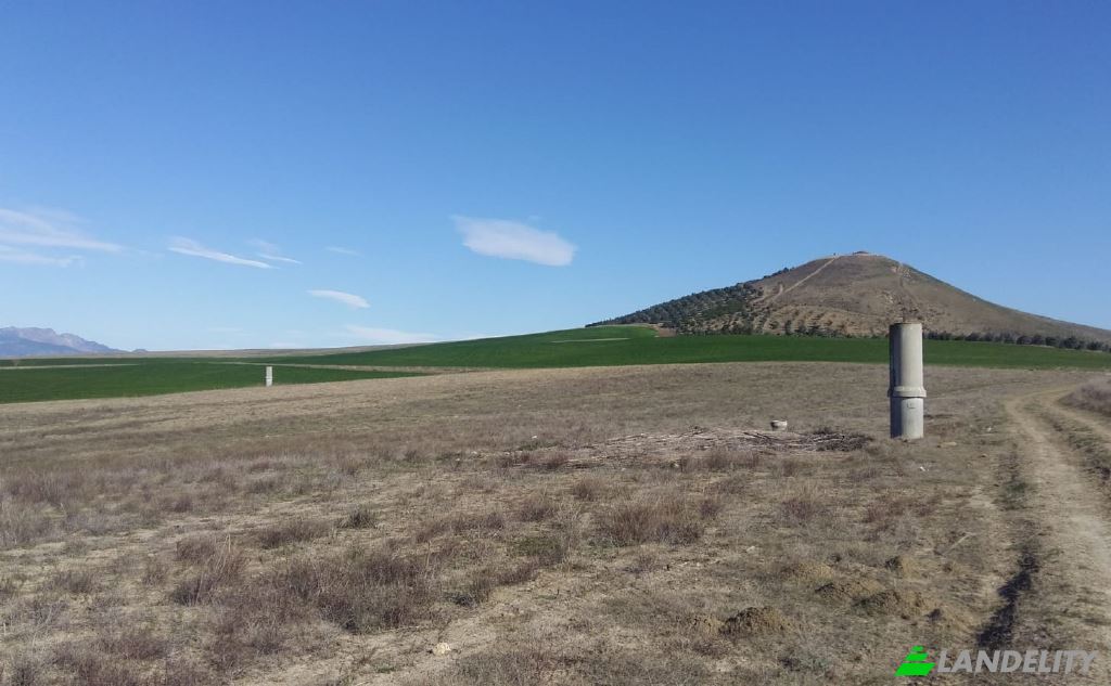 Land Lot for Sale Dikilitas, Isimsiz Yol, 01500 Kozan Adana, Kozan Adana, Kozan, Adana, Turkiye. Photo 8