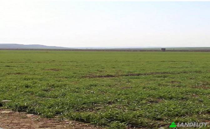 Land Lot for Sale - Kozan Adana, Turkiye