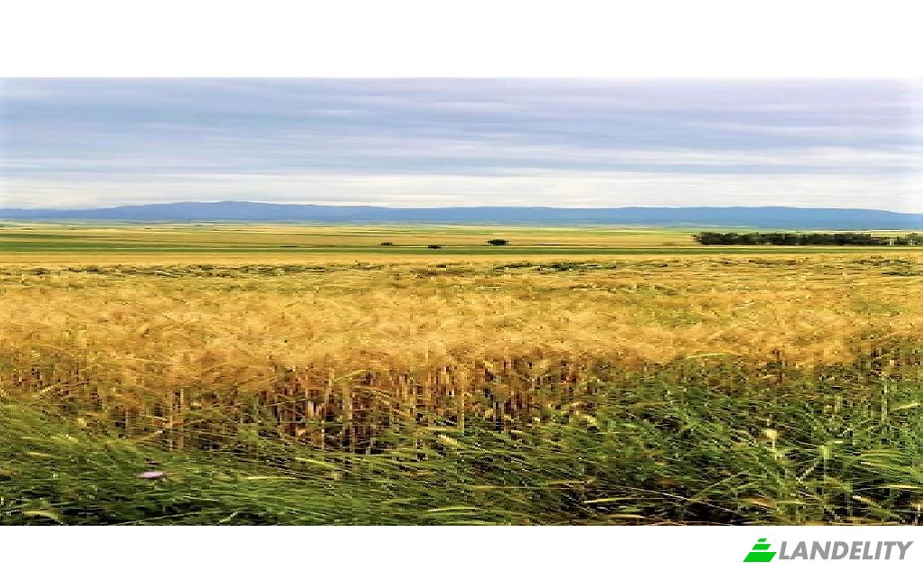 Land Lot for Sale Dikilitas, Isimsiz Yol, 01500 Kozan Adana, Kozan Adana, Kozan, Adana, Turkiye. Photo 3