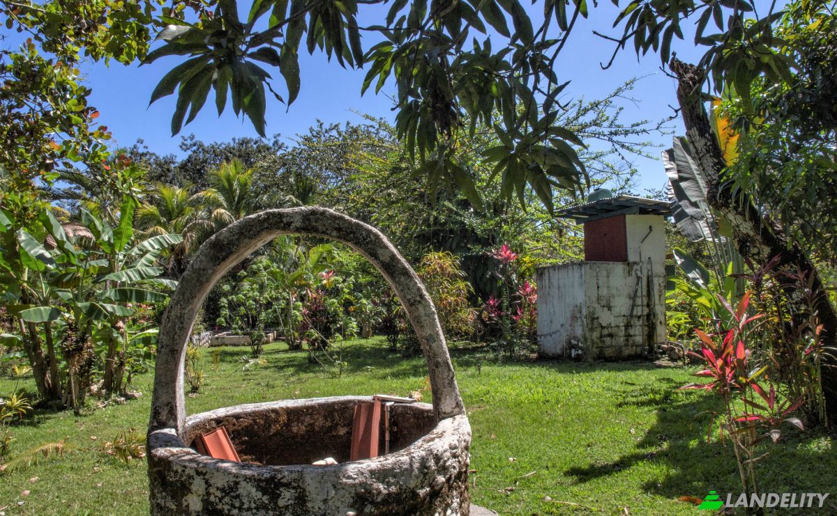 Single Family Home for Sale Delicias Montezuma Connection, Calle Pura Vida, Montezuma, Puntarenas Province, Costa Rica. Photo 22