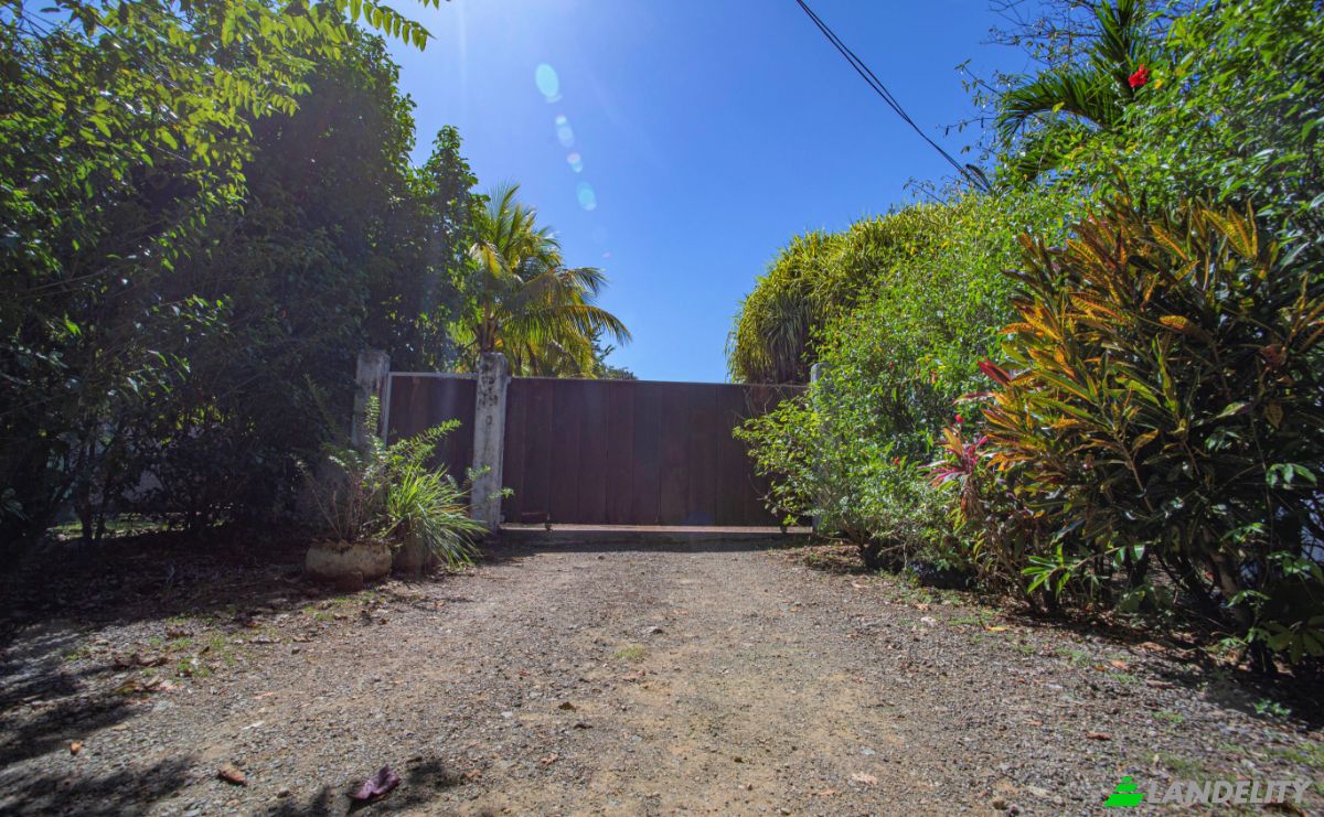 Single Family Home for Sale Delicias Montezuma Connection, Calle Pura Vida, Montezuma, Puntarenas Province, Costa Rica. Photo 23