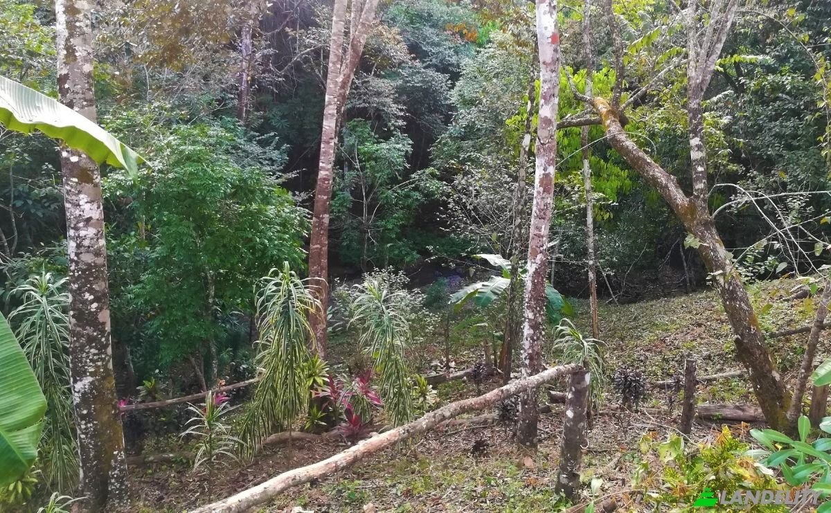 Single Family Home for Sale Delicias Montezuma Connection, Calle Pura Vida, Montezuma, Puntarenas Province, Costa Rica. Photo 24