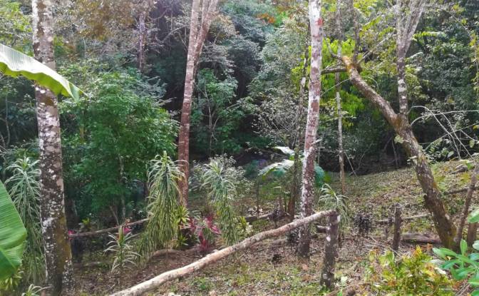 Single Family Home for Sale Delicias Montezuma. Photo#24