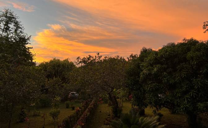 Single Family Home for Sale Delicias Montezuma. Photo#25