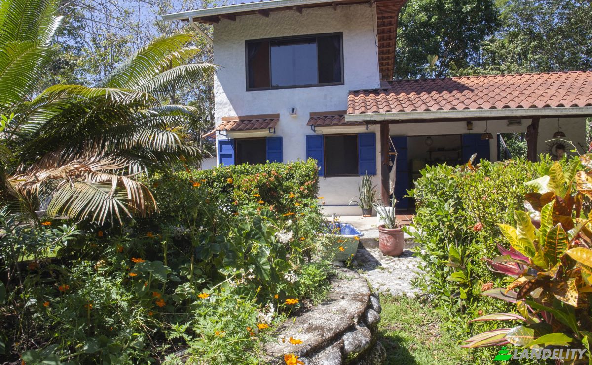 Single Family Home for Sale Delicias Montezuma Connection, Calle Pura Vida, Montezuma, Puntarenas Province, Costa Rica. Photo 21