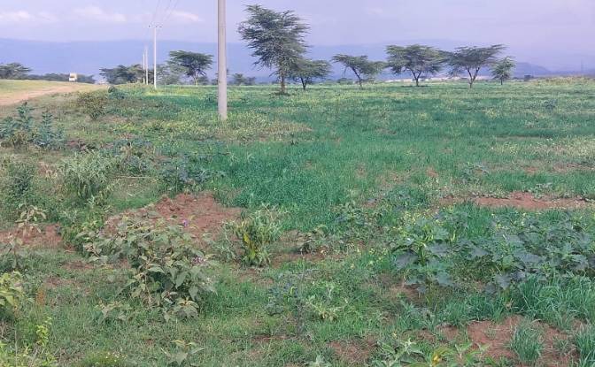 Land Lot for Sale Longonot, Naivasha. Photo#1