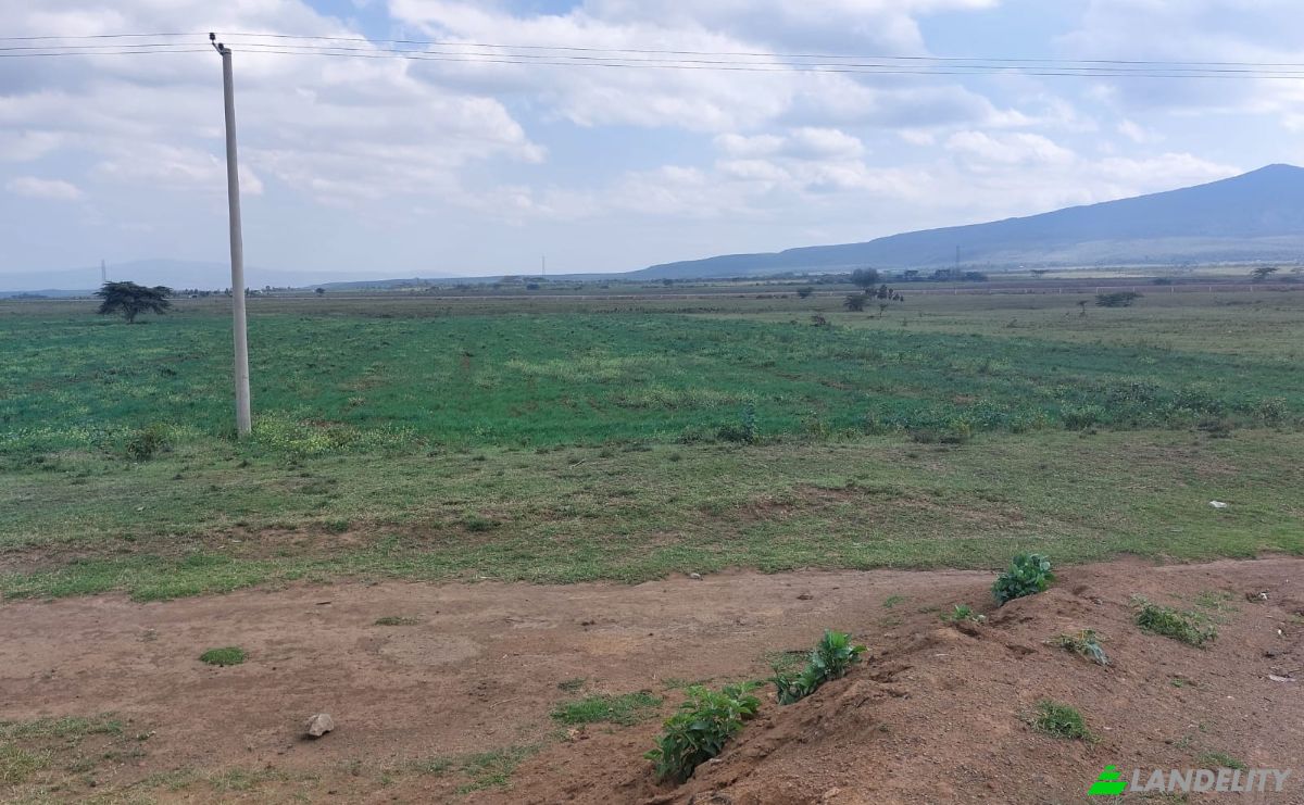 Land Lot for Sale Longonot, Naivasha, Nakuru County, Kenya. Photo 4