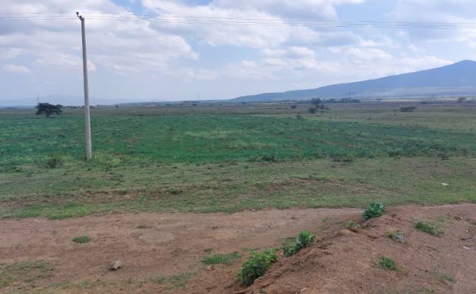 Land Lot for Sale Longonot, Naivasha. Photo#4