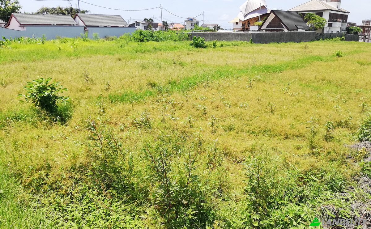 Land Lot for Sale Cemagi, Badung Regency, Bali, Indonesia, Mengwi, Bali 80351. Photo 4