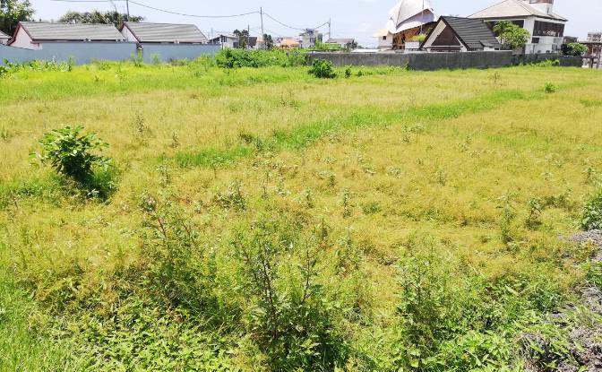 Land Lot for Sale Cemagi, Badung Regency, Bali. Photo#4 Land Lot for Sale Cemagi, Badung Regency, Bali. Photo#4