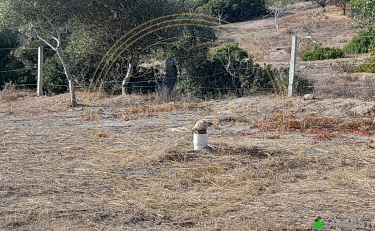 Land Lot for Sale Caminho Cerro da Aguia, Albufeira, Faro District, Portugal. Photo 4