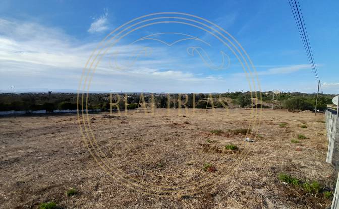 Land Lot for Sale Caminho Cerro da Aguia. Photo#8 Land Lot for Sale Caminho Cerro da Aguia. Photo#8