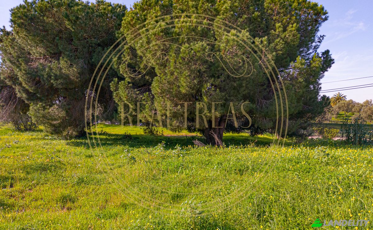 Land Lot for Sale R Francisco Assis, Faro, Faro District, Portugal. Photo 2